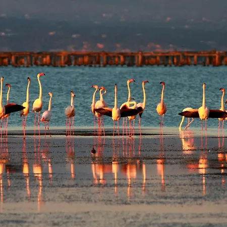 Deltahouse - Poble Nou Del Delta Ebre Holiday home *